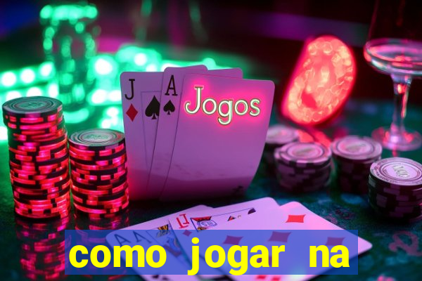 como jogar na lotinha do jogo do bicho